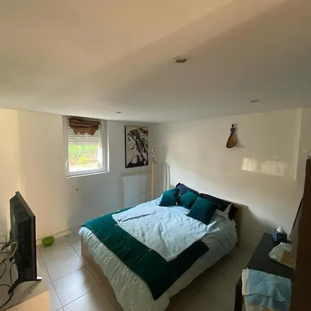 T1 Confort Cote Jardin D Artiste Apartment Montgeron