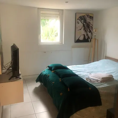 T1 Confort Cote Jardin D Artiste Apartment *